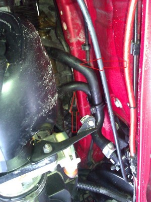 WP_000124.jpg (229.12 KiB) 2701 mal betrachtet WP_000124.jpg