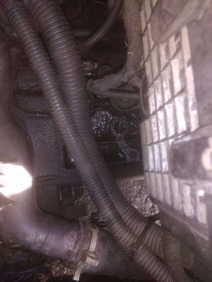 IMG_20201003_112906-min.jpg (679.9 KiB) 4328 mal betrachtet IMG_20201003_112906-min.jpg