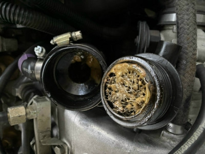 IMG_1044.jpg (159.93 KiB) 7854 mal betrachtet IMG_1044.jpg