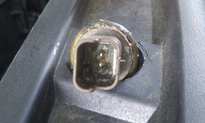 IMAG1305.jpg (64.96 KiB) 11304 mal betrachtet IMAG1305.jpg