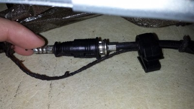 1483938_638995646139634_1493978011_o [1024x768].jpg