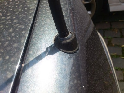 ant.jpg (103.89 KiB) 3345 mal betrachtet ant.jpg