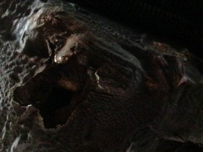 2014-08-17-12.52.05-(3).jpg (137.13 KiB) 5056 mal betrachtet 2014-08-17-12.52.05-(3).jpg