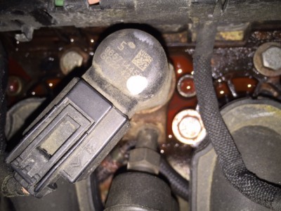 IMG_1744.JPG (124.81 KiB) 740 mal betrachtet IMG_1744.JPG