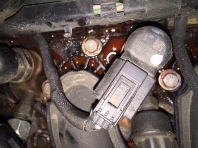 IMG_1746.JPG (133.77 KiB) 739 mal betrachtet IMG_1746.JPG