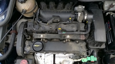 pgt.JPG (244.13 KiB) 2898 mal betrachtet pgt.JPG